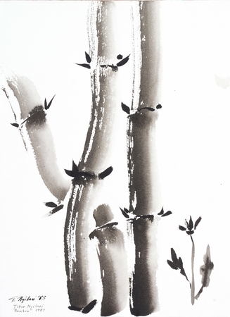 Bamboo
