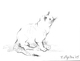 Cat Waiting for Food