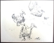 Barnyard Birds