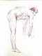 Nude Male Model 6
